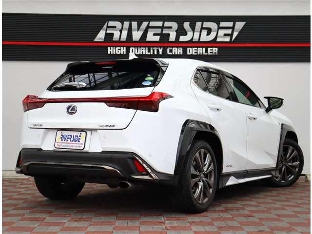 レクサス ＵＸ２５０ｈ Ｆスポーツ R1年 (関東) 99