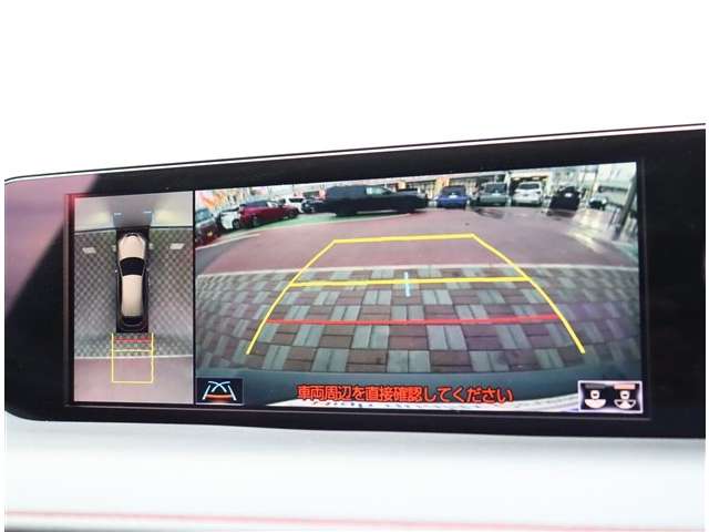 レクサス ＵＸ２５０ｈ Ｆスポーツ R1年 (関東) 99