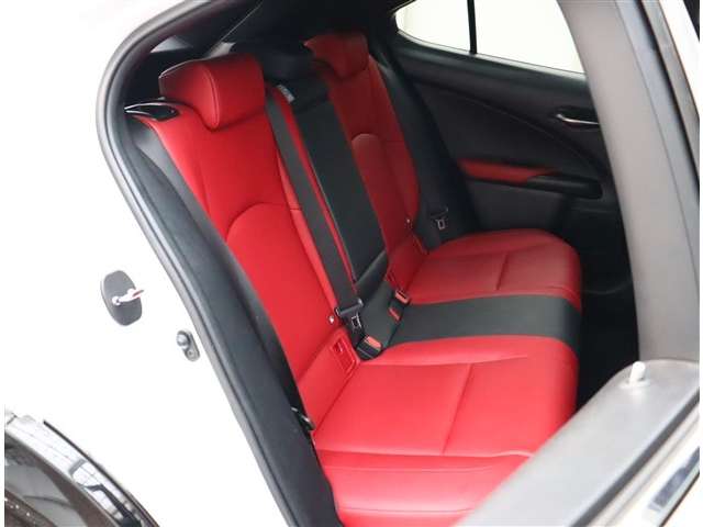 レクサス ＵＸ２５０ｈ Ｆスポーツ R1年 (関東) 99