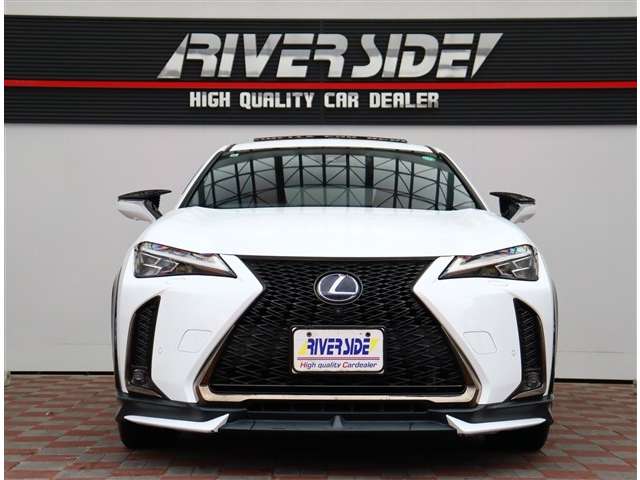 レクサス ＵＸ２５０ｈ Ｆスポーツ R1年 (関東) 99