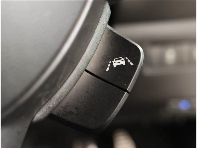 スズキ スイフト スポーツ １．４ セーフティパッケージ装着車 R1年 (東海) 99