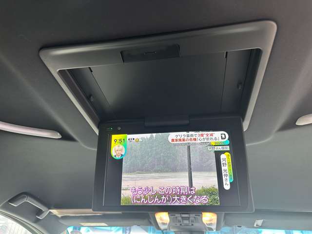トヨタ アルファード ２．５ Ｓ タイプゴールド ４ＷＤ R2年 (関東) 99