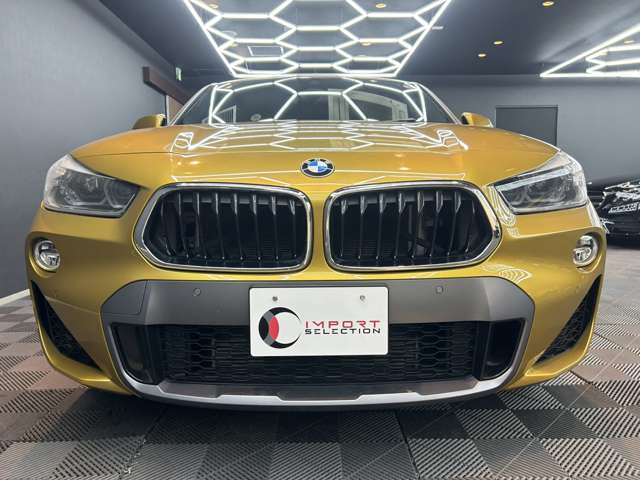 ＢＭＷ Ｘ２ Ｘドライブ２０Ｉ ＭスポーツＸ ４ＷＤ H30年 (関東) 99