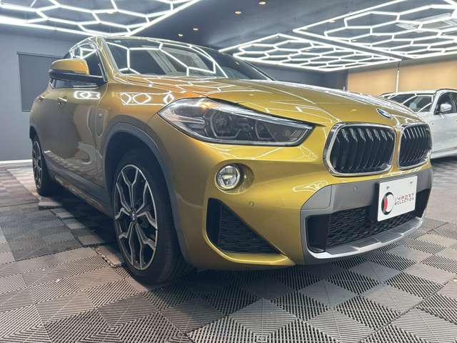 ＢＭＷ Ｘ２ Ｘドライブ２０Ｉ ＭスポーツＸ ４ＷＤ H30年 (関東) 99
