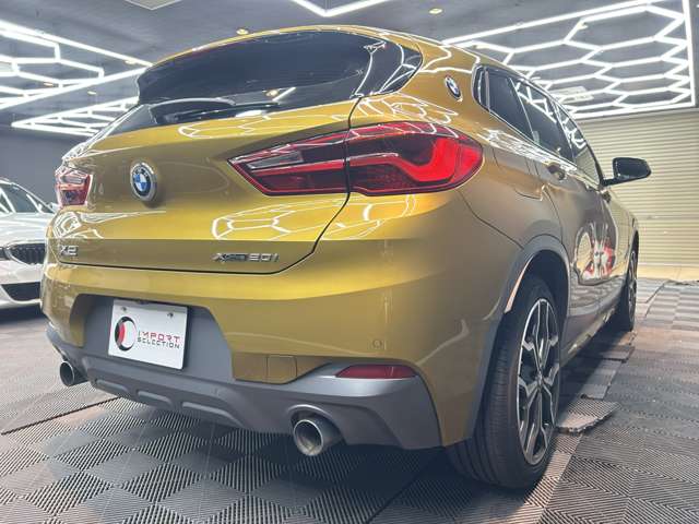 ＢＭＷ Ｘ２ Ｘドライブ２０Ｉ ＭスポーツＸ ４ＷＤ H30年 (関東) 99