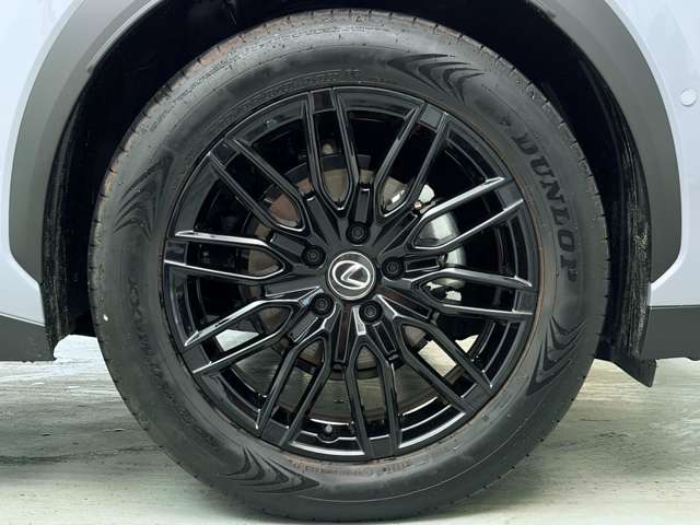 レクサス ＬＢＸ ビスポーク ビルド Ｅ－ＦＯＵＲ ４ＷＤ R6年 (関東) 99