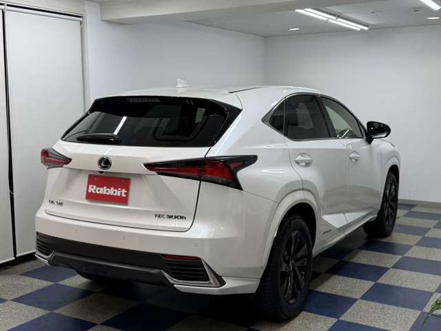 レクサス ＮＸ３００ｈ ３００Ｈ スパイス＆シック ４ＷＤ R2年 (関東) 99