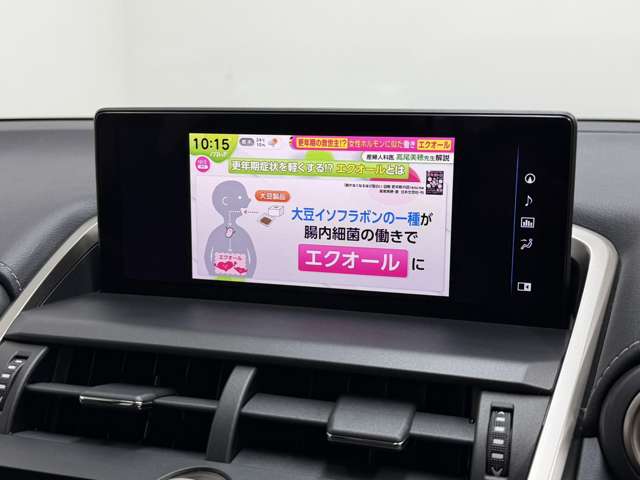 レクサス ＮＸ３００ｈ ３００Ｈ スパイス＆シック ４ＷＤ R2年 (関東) 99