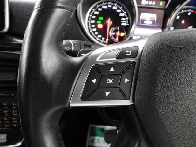 メルセデスベンツ Ｇクラス Ｇ３５０Ｄ ロング ディーゼルターボ ４ＷＤ H28年 (近畿) 99