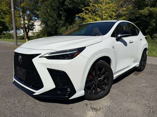 レクサス ＮＸ３５０ｈ Ｆスポーツ R7年 (近畿) 99
