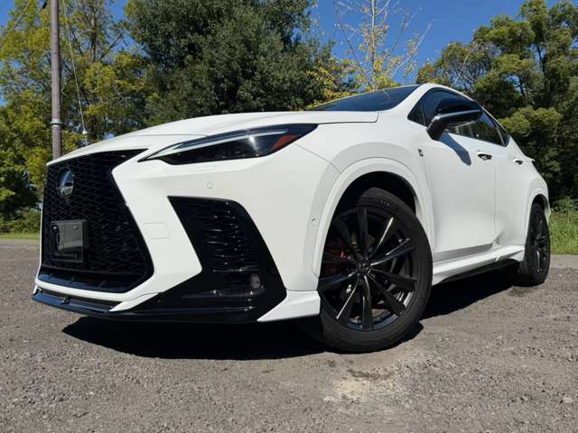 レクサス ＮＸ３５０ｈ Ｆスポーツ R7年 (近畿) 99