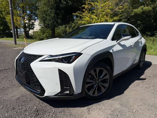レクサス ＵＸ２５０ｈ Ｆスポーツ R5年 (近畿) 99