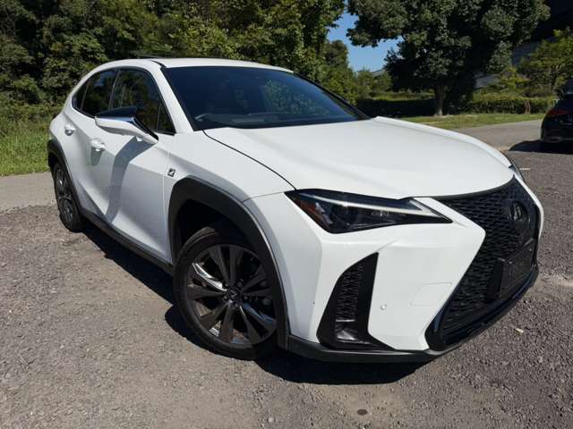 レクサス ＵＸ２５０ｈ Ｆスポーツ R5年 (近畿) 99