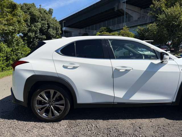 レクサス ＵＸ２５０ｈ Ｆスポーツ R5年 (近畿) 99
