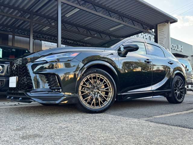 レクサス ＲＸ５００ｈ ５００Ｈ Ｆスポーツ パフォーマンス ４ＷＤ R6年 (東海) 99