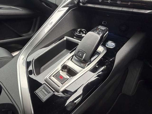 プジョー ３００８ ＧＴ ブルーＨＤＩ ディーゼルターボ R1年 (東海) 99