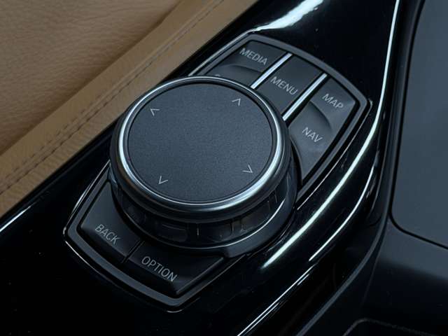 ＢＭＷ ５シリーズ １１８Ｄ Ｍスポーツ エディション シャドー H29年 (東海) 99