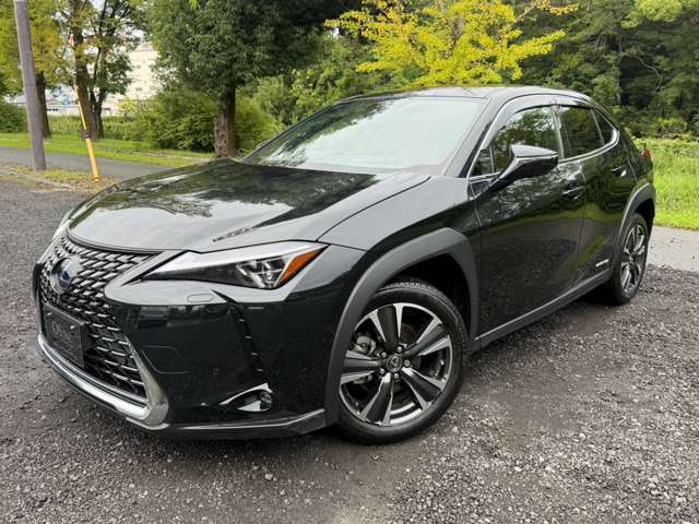 レクサス ＵＸ２５０ｈ バージョンＬ R1年 (近畿) 99