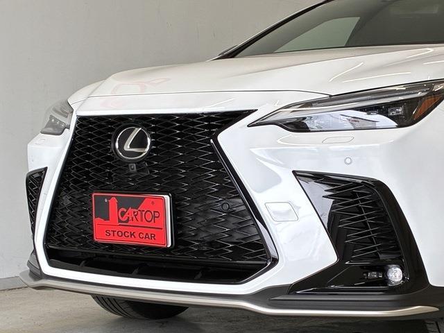レクサス ＮＸ３５０ｈ Ｆスポーツ R7年 (中国) 99