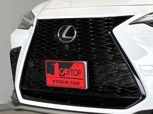 レクサス ＮＸ３５０ｈ Ｆスポーツ R7年 (中国) 99