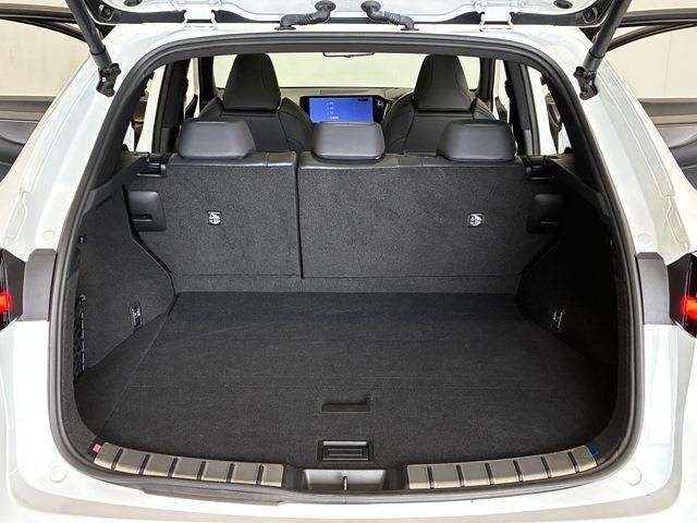 レクサス ＮＸ３５０ｈ Ｆスポーツ R7年 (中国) 99