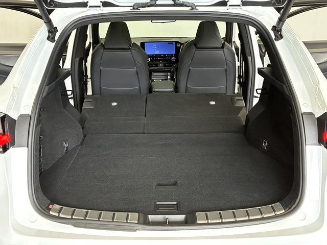 レクサス ＮＸ３５０ｈ Ｆスポーツ R7年 (中国) 99