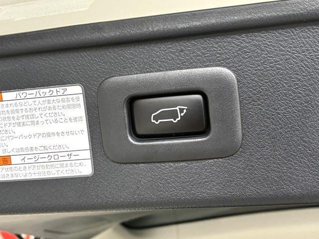 トヨタ ヴェルファイア ２．５ Ｚ Ｇエディション H27年 (中国) 99