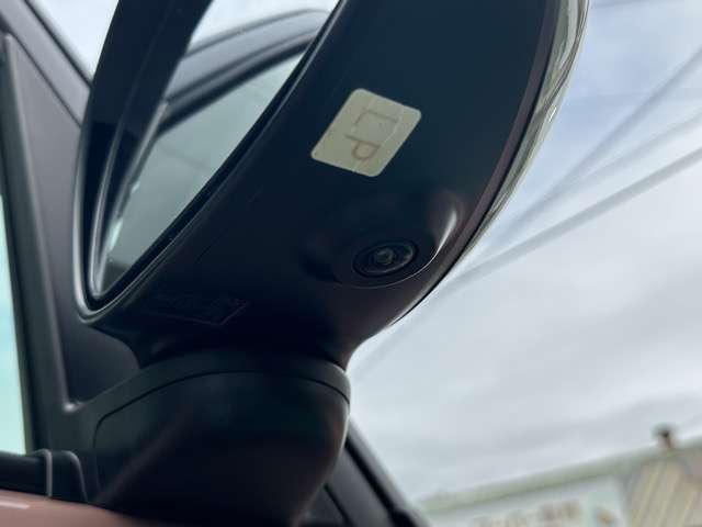 スズキ アルトラパン ６６０ ハイブリッド Ｘ R8年 (東海) 99