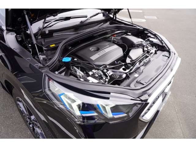ＢＭＷ Ｘ２ Ｘドライブ２０Ｉ Ｍスポーツ ４ＷＤ R6年 (東北) 99