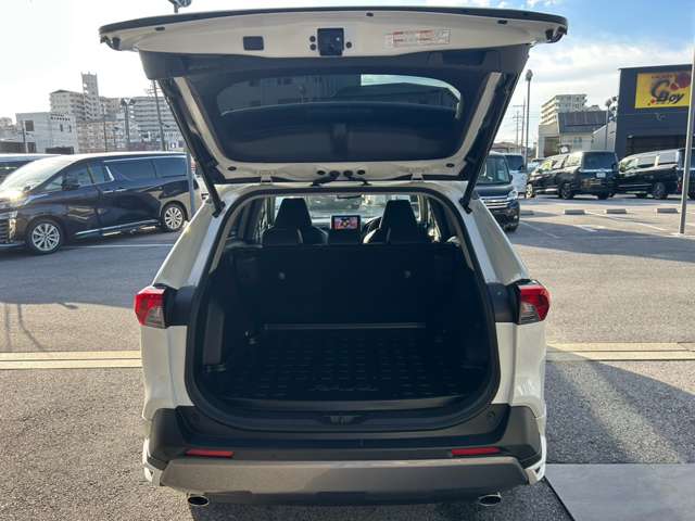 トヨタ ＲＡＶ４ ２．０ Ｇ Ｚパッケージ ４ＷＤ R1年 (近畿) 99