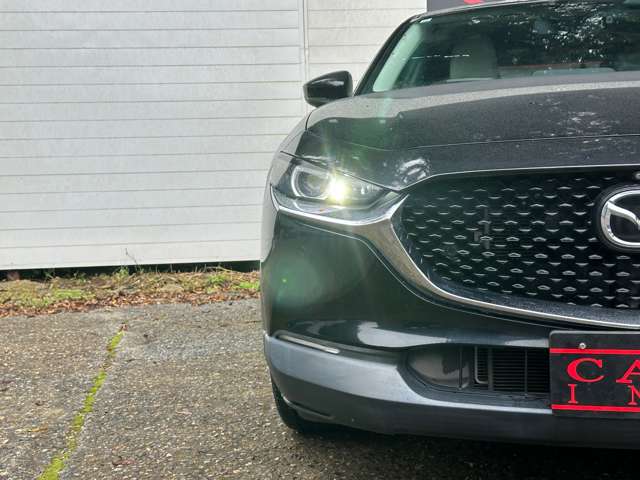マツダ ＣＸ−３０ ２．０ ２０Ｓ Ｌパッケージ ４ＷＤ R1年 (関東) 99