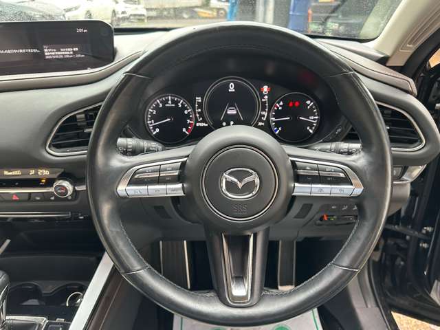 マツダ ＣＸ−３０ ２．０ ２０Ｓ Ｌパッケージ ４ＷＤ R1年 (関東) 99