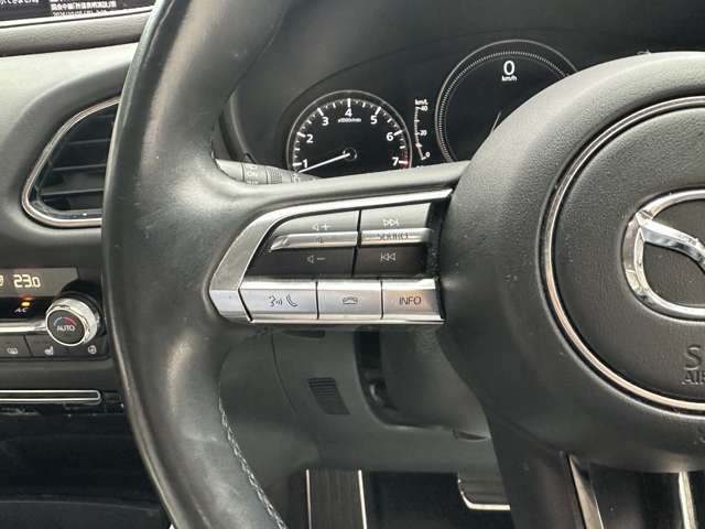 マツダ ＣＸ−３０ ２．０ ２０Ｓ Ｌパッケージ ４ＷＤ R1年 (関東) 99
