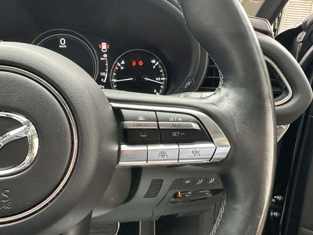 マツダ ＣＸ−３０ ２．０ ２０Ｓ Ｌパッケージ ４ＷＤ R1年 (関東) 99