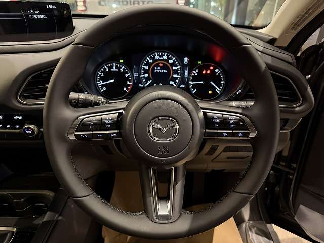 マツダ ＣＸ−３０ ２．０ ２０Ｇ R8年 (関東) 99