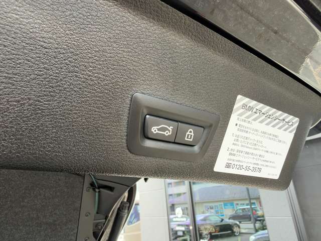 ＢＭＷ Ｘ４ Ｘドライブ２８Ｉ Ｍスポーツ ４ＷＤ H29年 (東海) 99