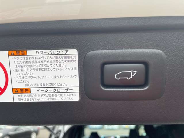 トヨタ アルファード ２．５ Ｓ タイプゴールド R2年 (東北) 99