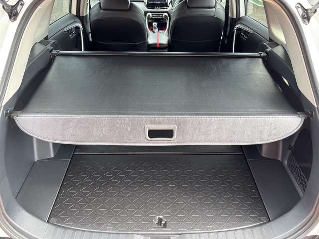 トヨタ ＲＡＶ４ ２．０ アドベンチャー オフロード パッケージＩＩ ４ＷＤ R4年 (近畿) 99