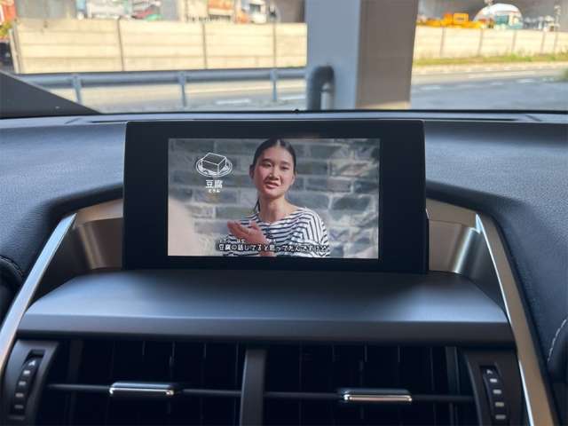 レクサス ＮＸ３００ｈ バージョンＬ H27年 (近畿) 99