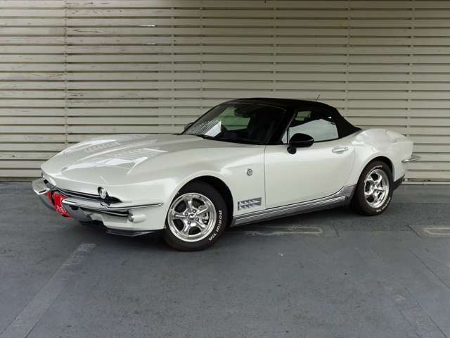 光岡自動車 ロックスター １．５ Ｓ スペシャル パッケージ R2年 (東海) 99