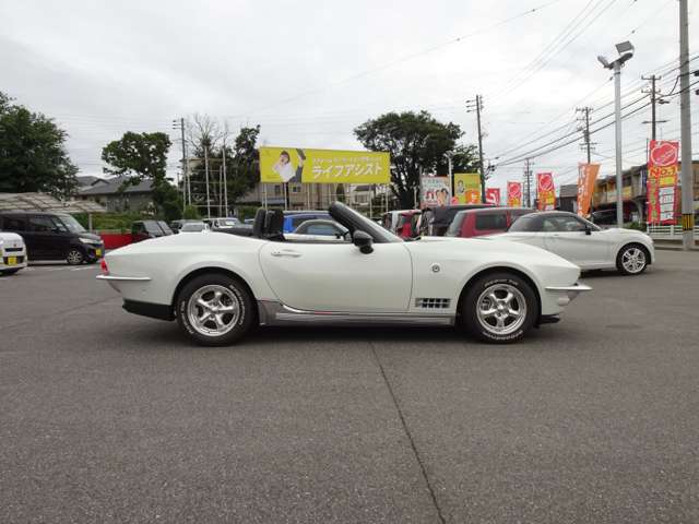 光岡自動車 ロックスター １．５ Ｓ スペシャル パッケージ R2年 (東海) 99