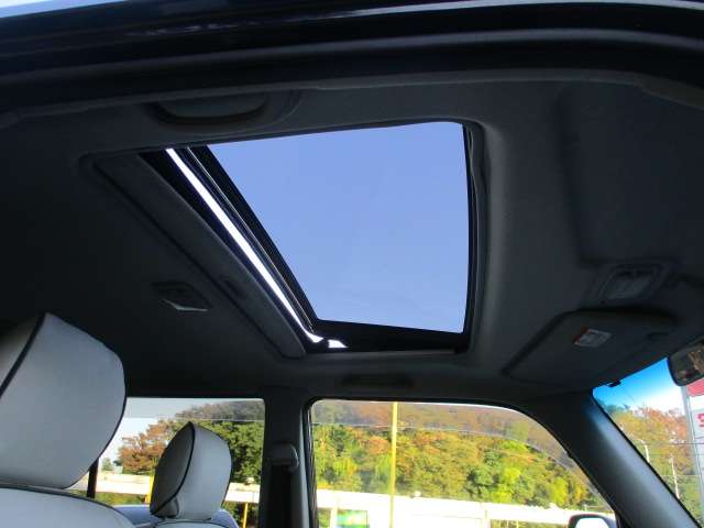 トヨタ ｂＢ １．５ Ｚ Ｘバージョン ４ＷＤ H16年 (関東) 99