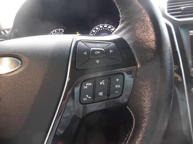 フォード エクスプローラー タイタニアム ４ＷＤ H28年 (東海) 99