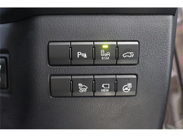 レクサス ＮＸ３００ｈ ３００Ｈ バージョンＬ ４ＷＤ H26年 (北海道) 99