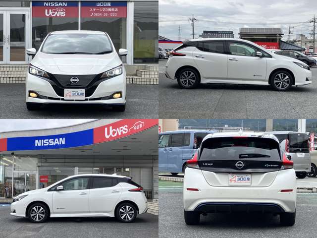 日産 リーフ ｅ＋　Ｘ R3年 (中国) 99