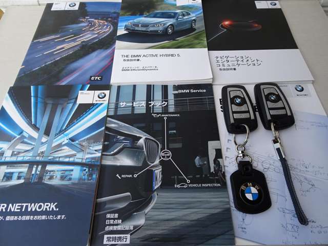 ＢＭＷ ５シリーズ アクティブハイブリッド５　ラグジュアリー H27年 (関東) 99