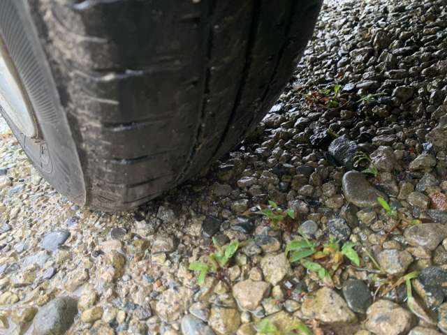 ホンダ Ｎ　ＢＯＸ ６６０ Ｇ ４ＷＤ H25年 (関東) 99