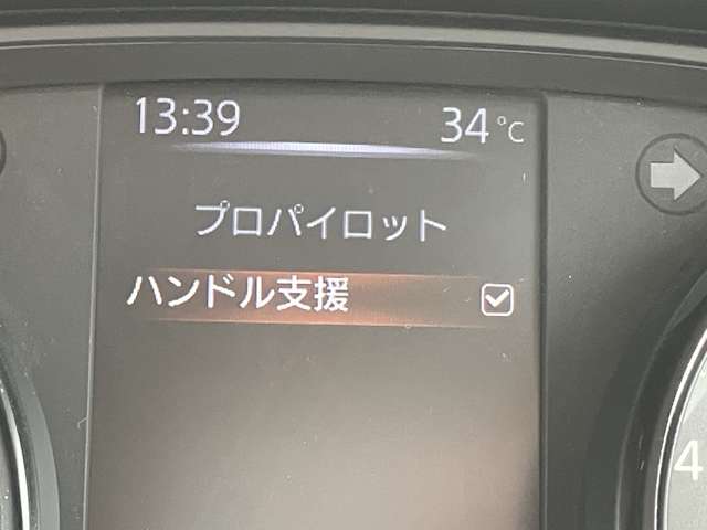 日産 エクストレイル ２．０ ２０ＸＩ ２列車 H30年 (関東) 99
