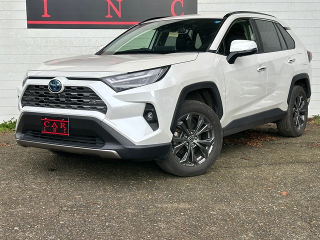トヨタ ＲＡＶ４ ２．５ ハイブリッド Ｇ Ｅ－ＦＯＵＲ ４ＷＤ R4年 (関東) 99