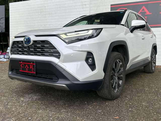 トヨタ ＲＡＶ４ ２．５ ハイブリッド Ｇ Ｅ－ＦＯＵＲ ４ＷＤ R4年 (関東) 99